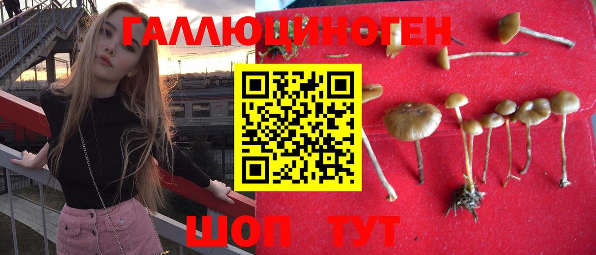 Галлюциногенные грибы прущие грибы  Псилоцибиновые грибы MAGIC MUSHROOMS  Октябрьский  Вход с VPN 